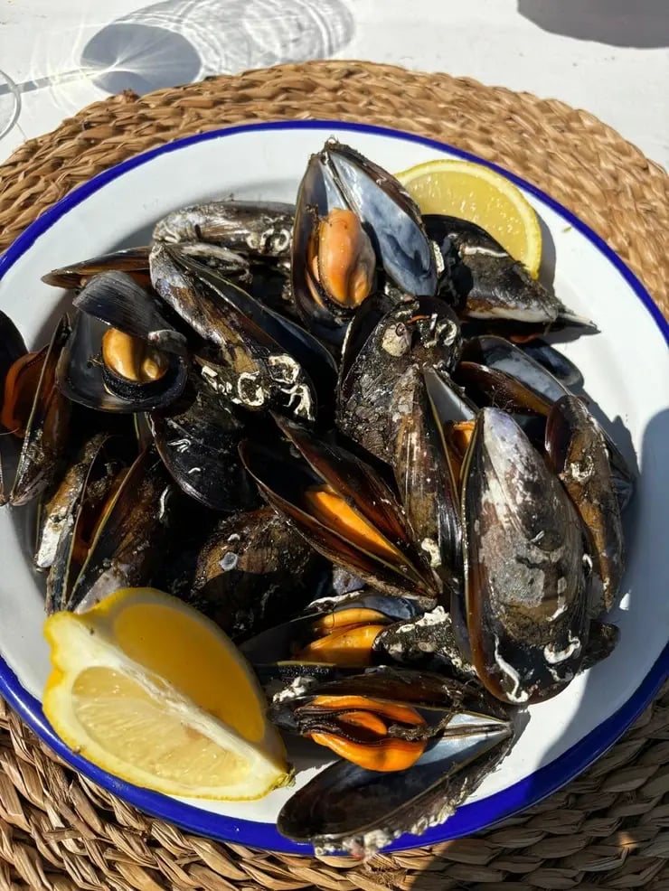 d267ee_d0b5bcf54f634086827dc7b6ae852121~mv2