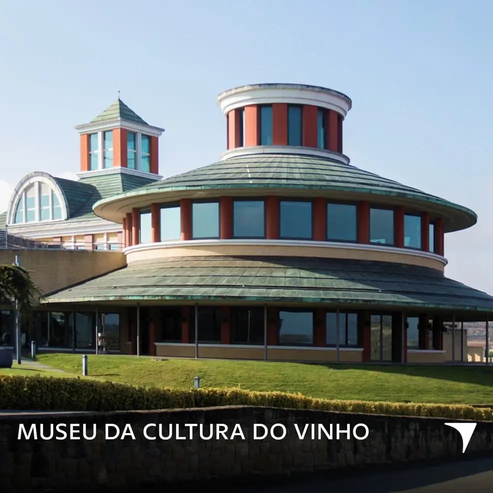 d267ee_d3118026d1c24d6ea353da9ba876f0d3~mv2