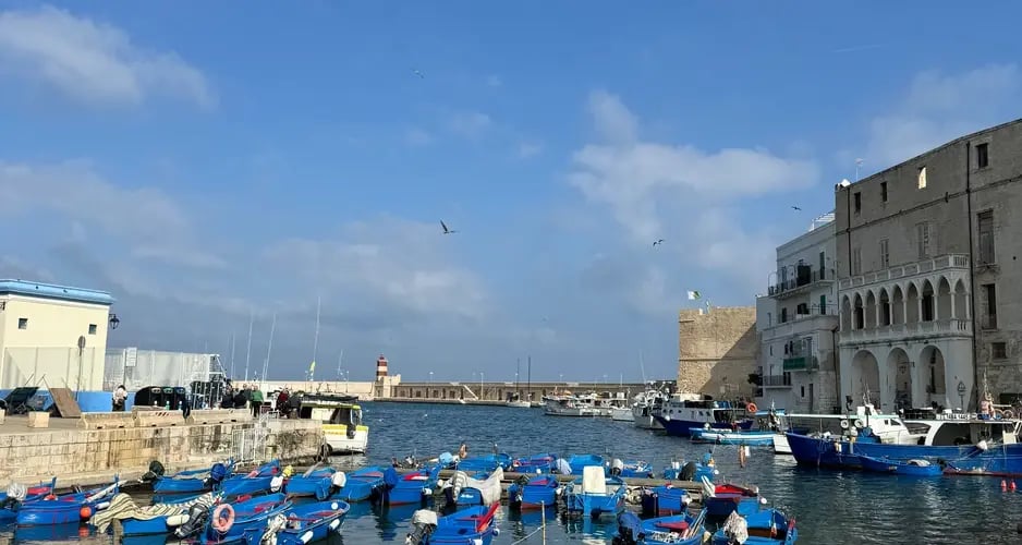 d267ee_da01faedbd9a4d9ab85b6b56bc770514~mv2