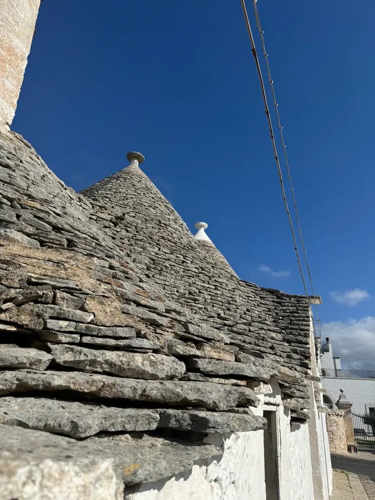 d267ee_db587a08f69444a2befc9bcf5c9cb743~mv2-1