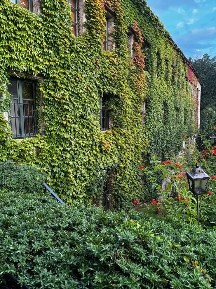 d267ee_db6058c97c26447da7c461c9fe25314a~mv2