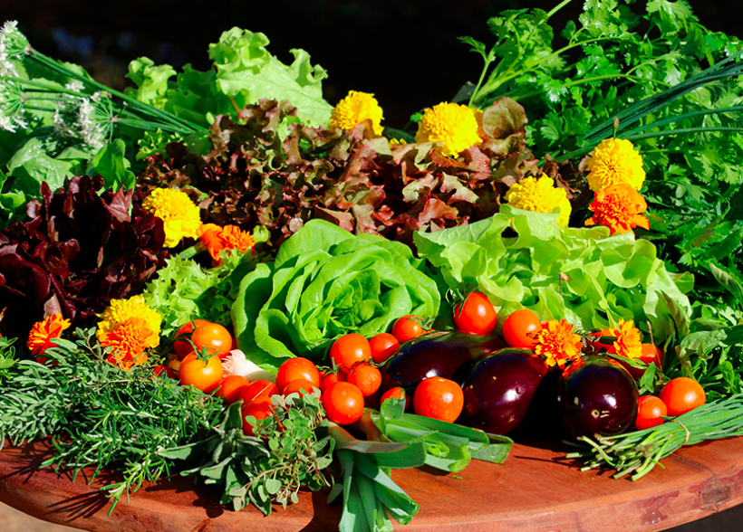 d267ee_db8dac62741847f69e696f426d5353fd~mv2