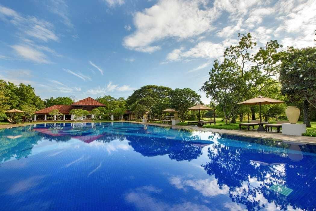 d267ee_dc7da7c66b424bef8fab1816606e94ed~mv2