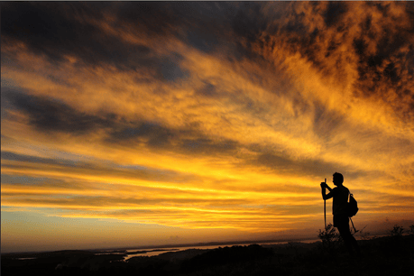 d267ee_def033536c64477b9f01f4da5b191218~mv2