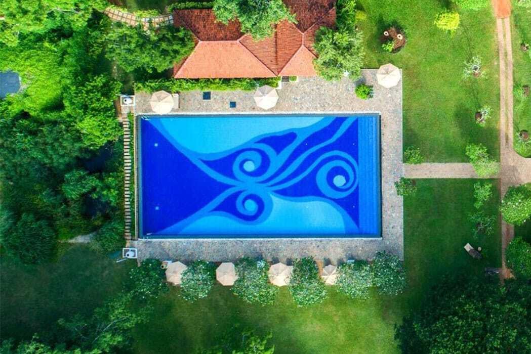 d267ee_ed8a5296ded94090af5cc5183c1bd2a6~mv2