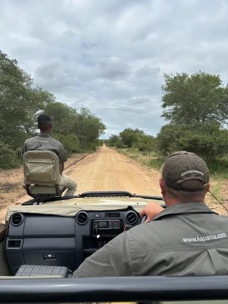 d267ee_f5279fc155ea4598aa2223fff5a92293~mv2