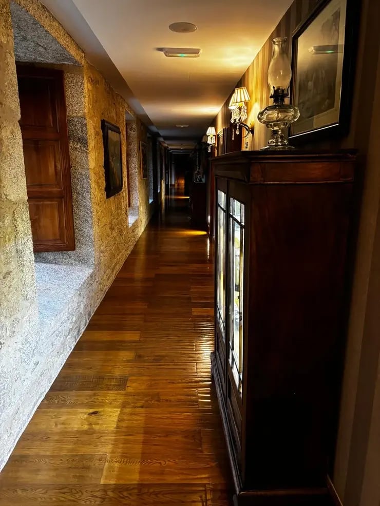 d267ee_f9def48c788b41e2b0c8ed68a2a11915~mv2