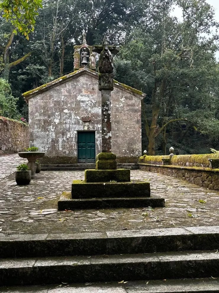 d267ee_ff85185f6675437f97faf91e3617e901~mv2