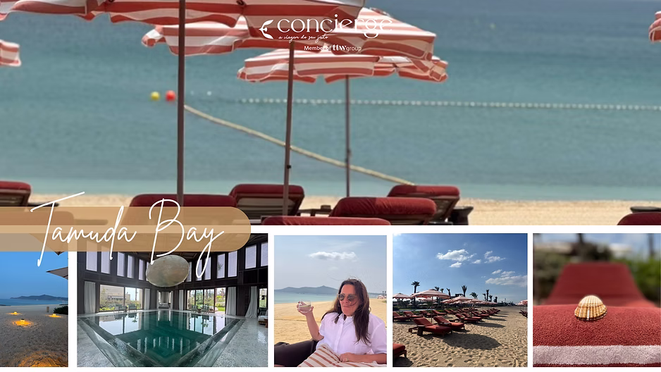 d267ee_0edc0acf734d4d559d0c4851c7178323~mv2