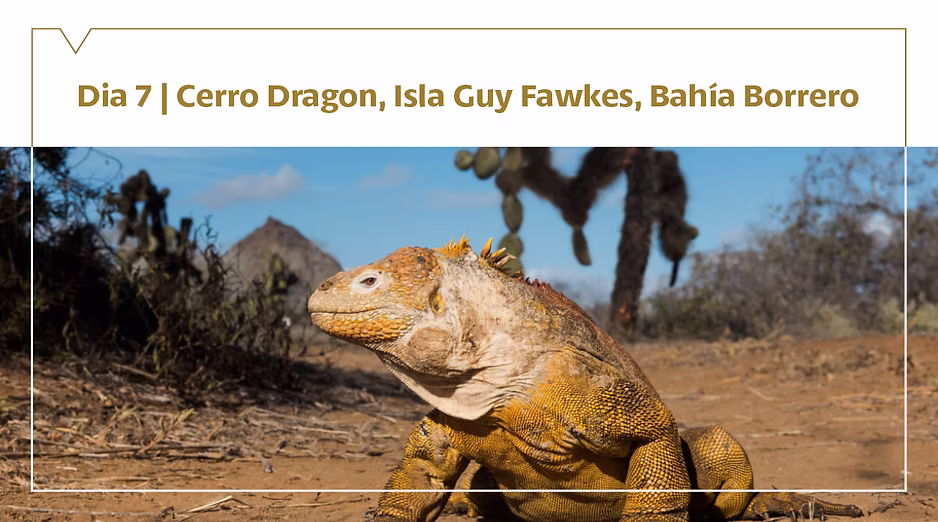 d267ee_0f5addac9a324602b8a8c4fef2a80454~mv2