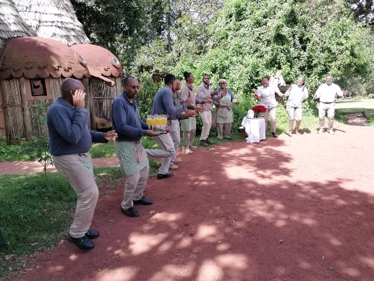 d267ee_14803655a14f43949f8369e4f2da84a5~mv2