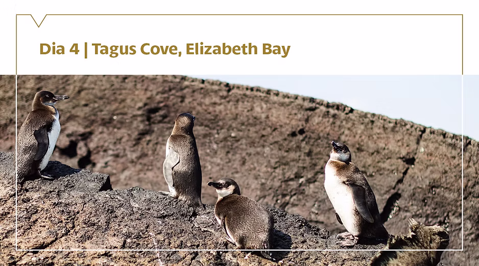 d267ee_209ebd5fa07540579f33f4670e34a3d2~mv2