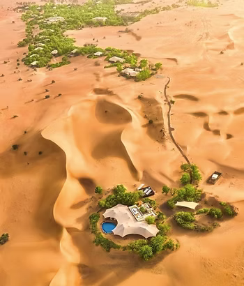 d267ee_38169ec606514311afe9a76131a8811b~mv2