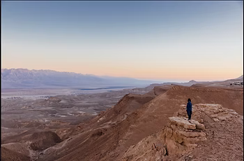 d267ee_93bea7bfbc614a7cb583e7cc57bd0a0a~mv2