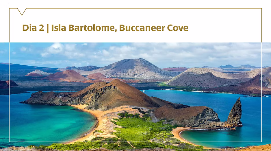 d267ee_ac177889d27749abbb8119524a5cf8cd~mv2