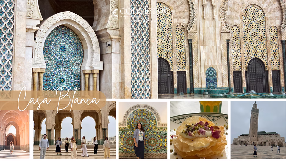 d267ee_ed1405b48b5543c0bd5e89f1c1e17e24~mv2